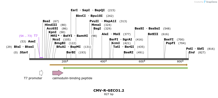 162689_map