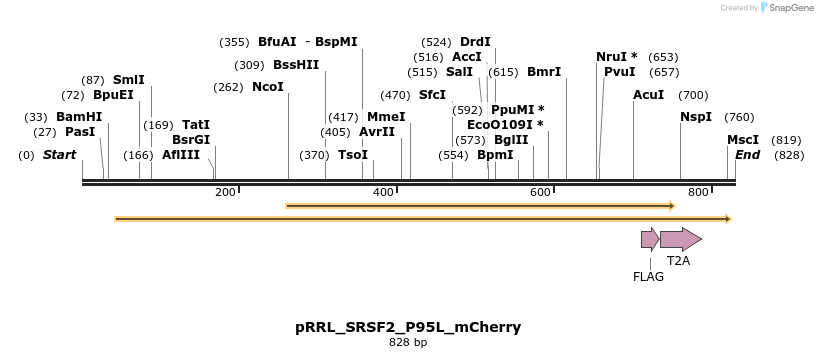 162706_map