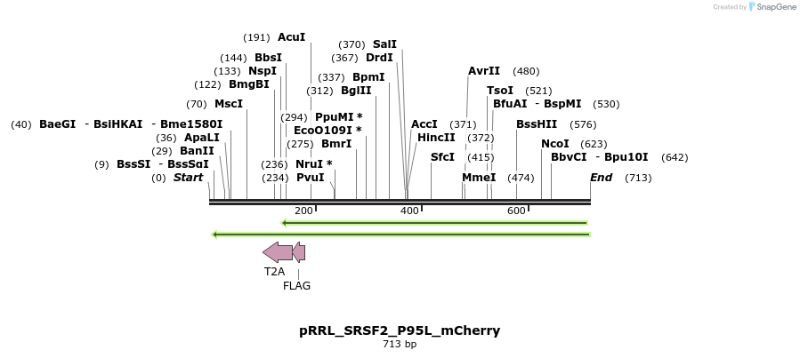 162707_map