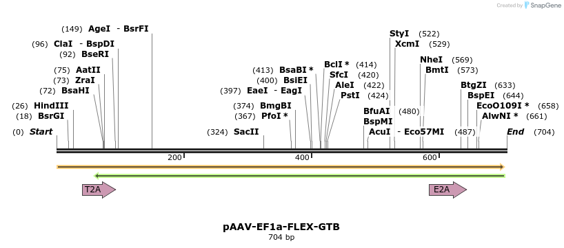 162712_map