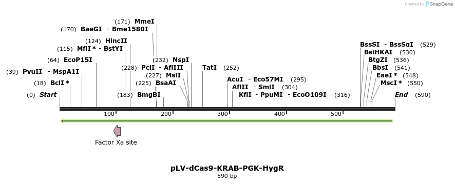 162718_map