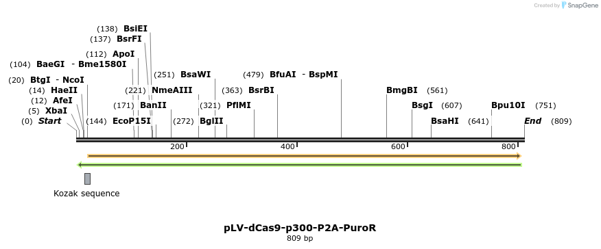 162721_map