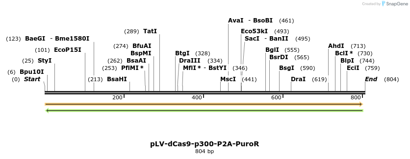 162722_map