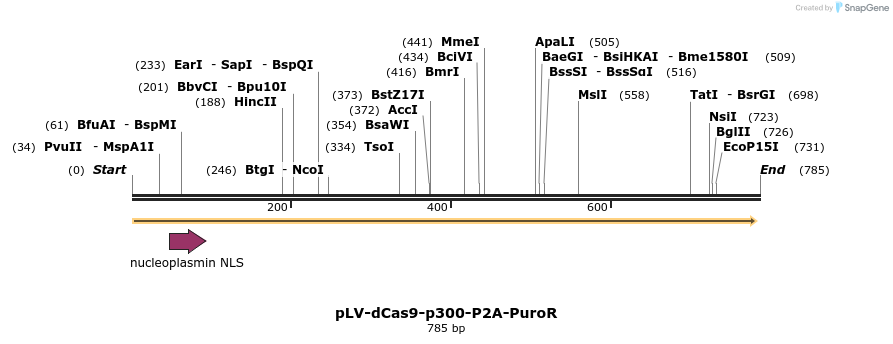 162723_map