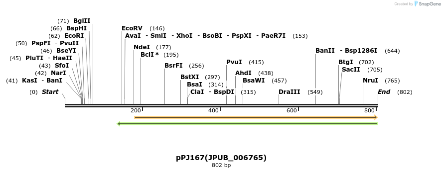 162734_map