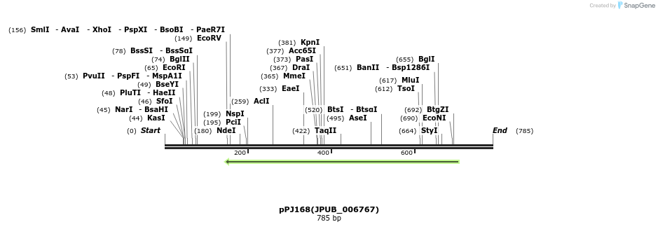 162742_map