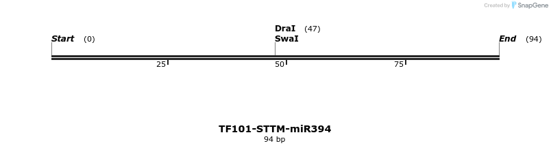 162747_map