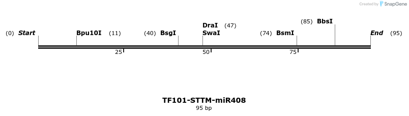162748_map
