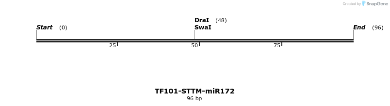162749_map