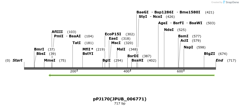 162754_map