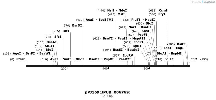 162756_map