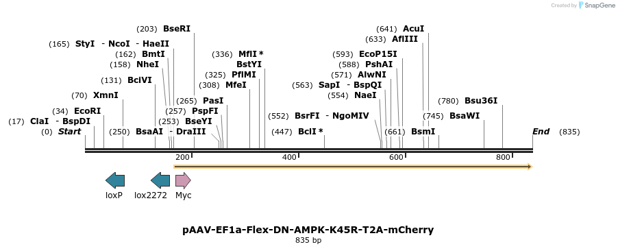 162765_map