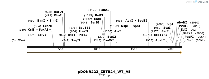 162766_map