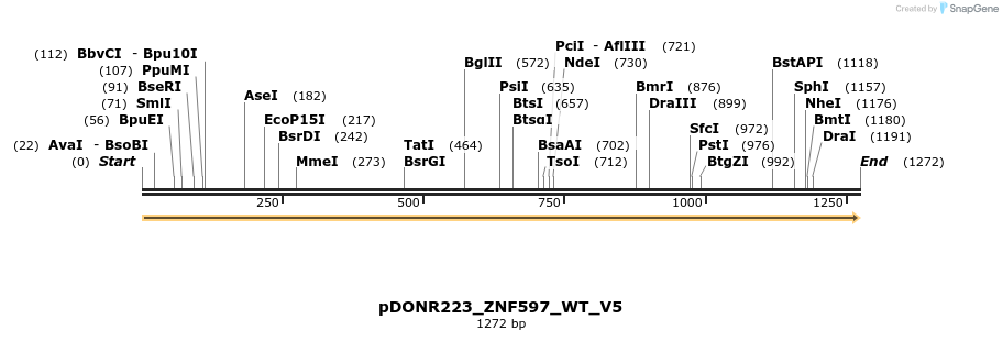 162769_map
