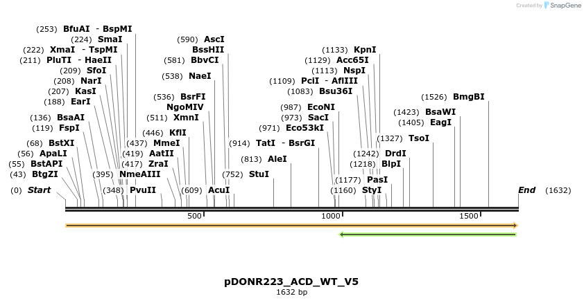 162777_map