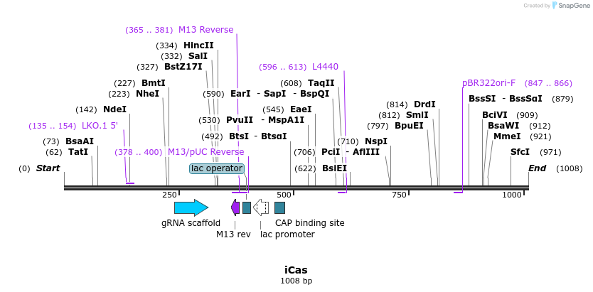 162780_map