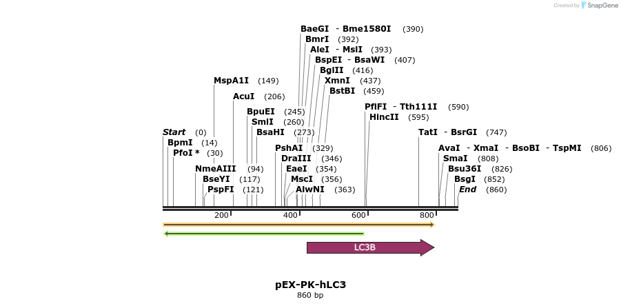162786_map