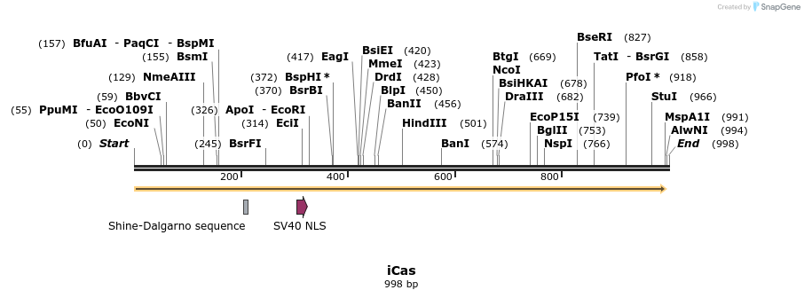 162794_map