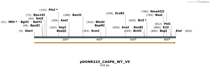 162796_map