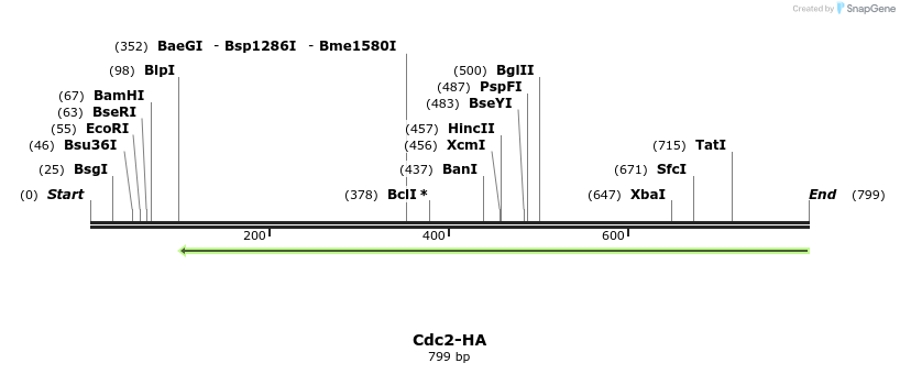162826_map