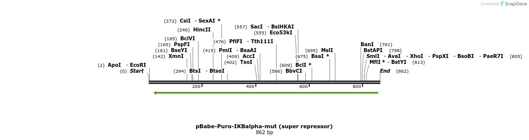 162828_map
