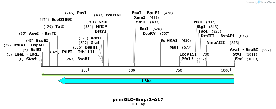 162836_map