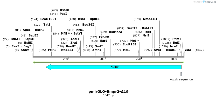 162840_map