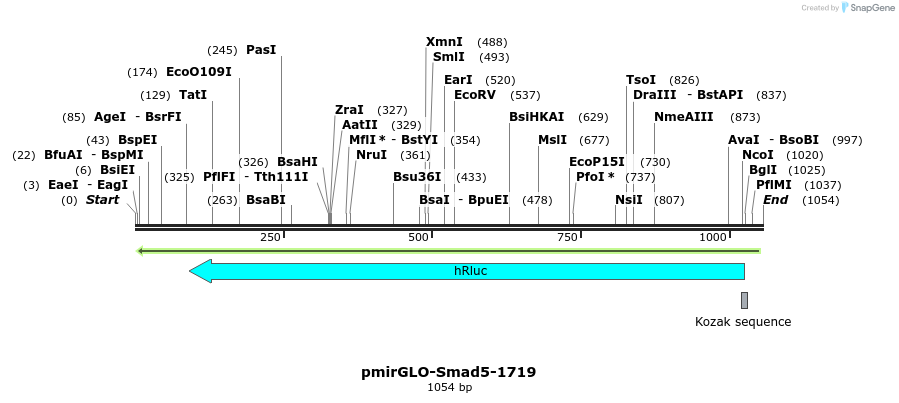 162848_map