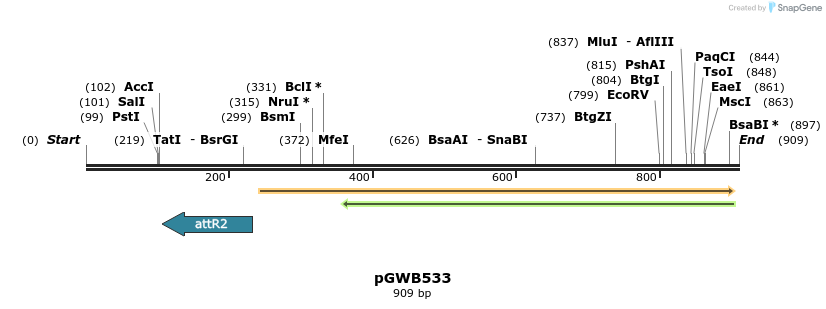 162872_map