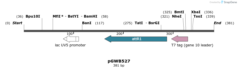 162874_map