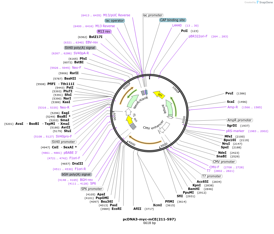 162879_map