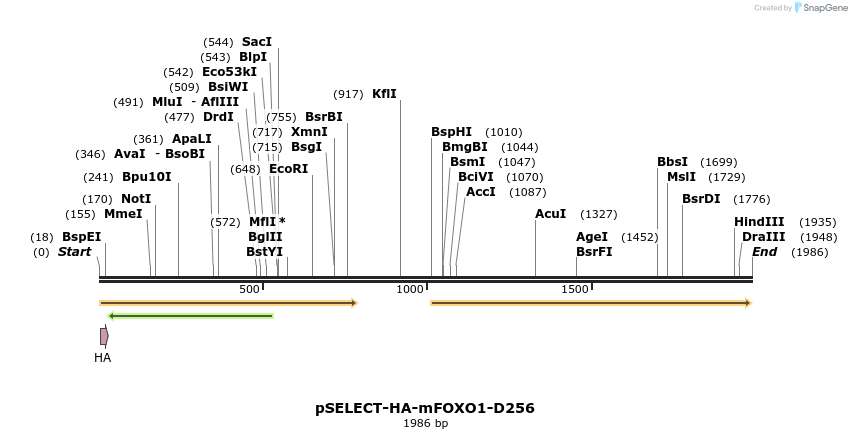 162898_map