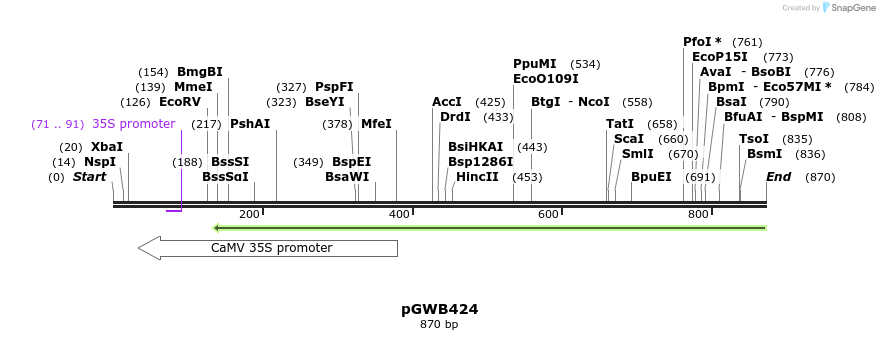 162905_map