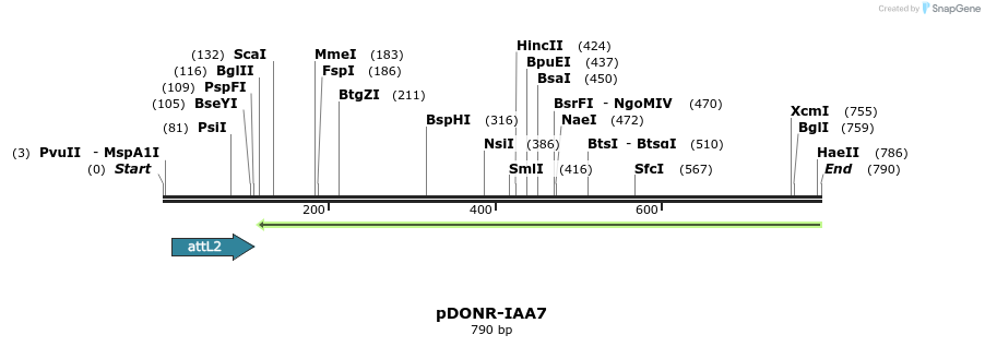 162910_map