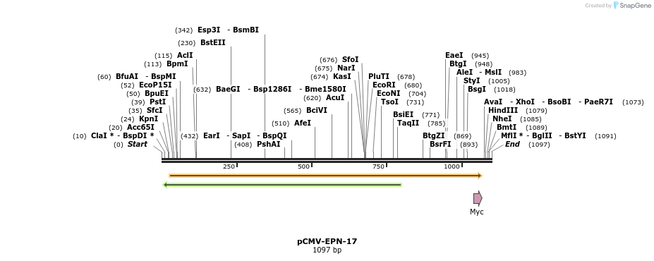 162916_map