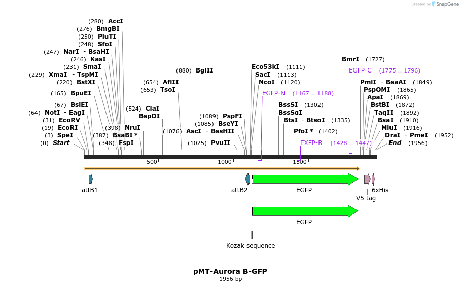 162928_map