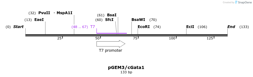 162939_map