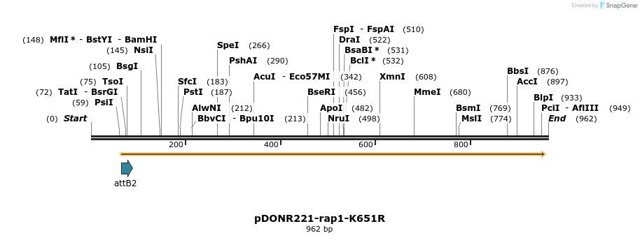 162948_map