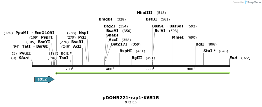 162949_map