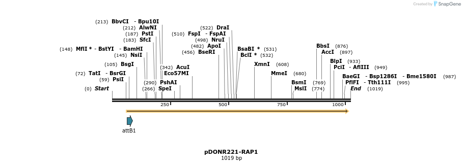 162950_map