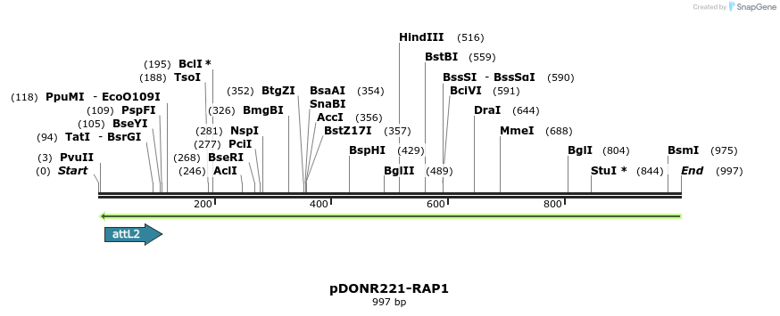 162951_map