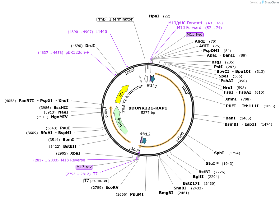 162952_map