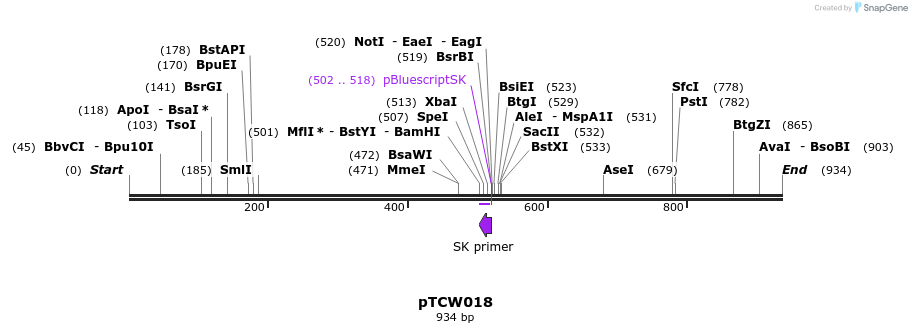 162964_map