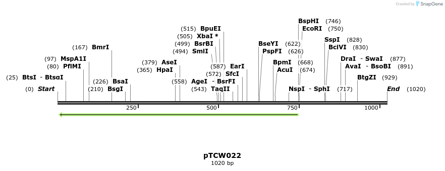 162965_map