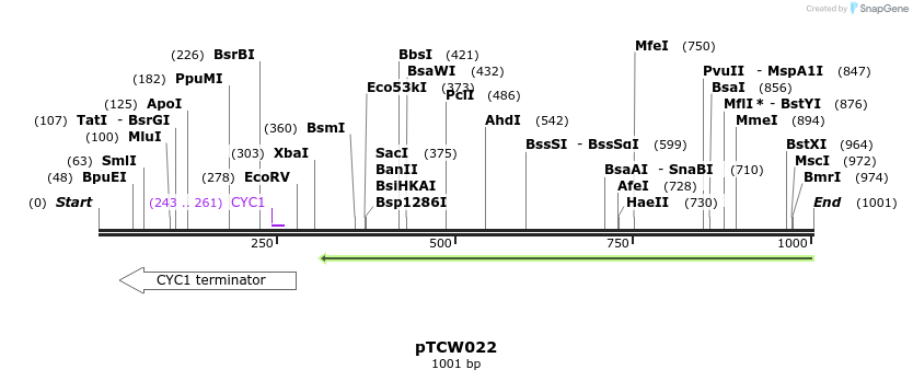162966_map