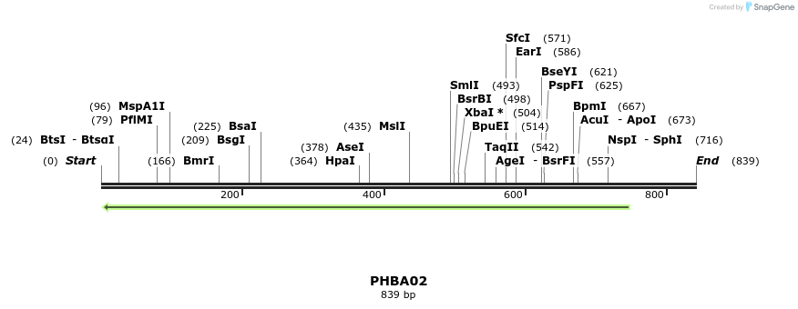 162972_map