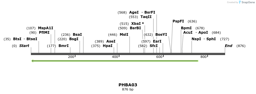 162975_map