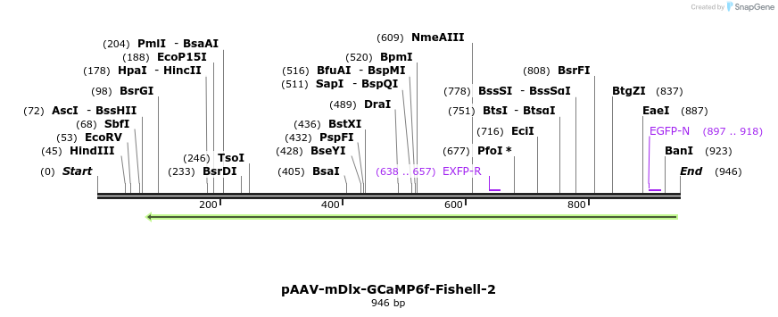 162981_map