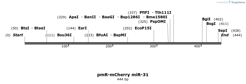 163039_map