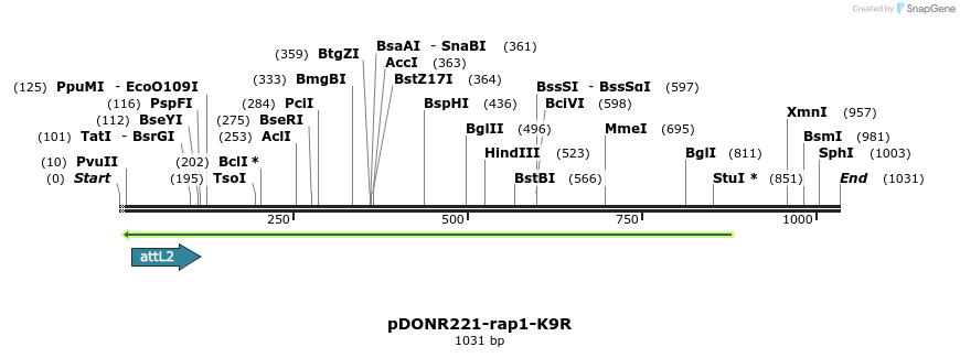 163041_map